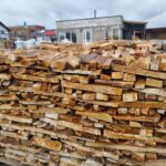 Торець болгарський золотий